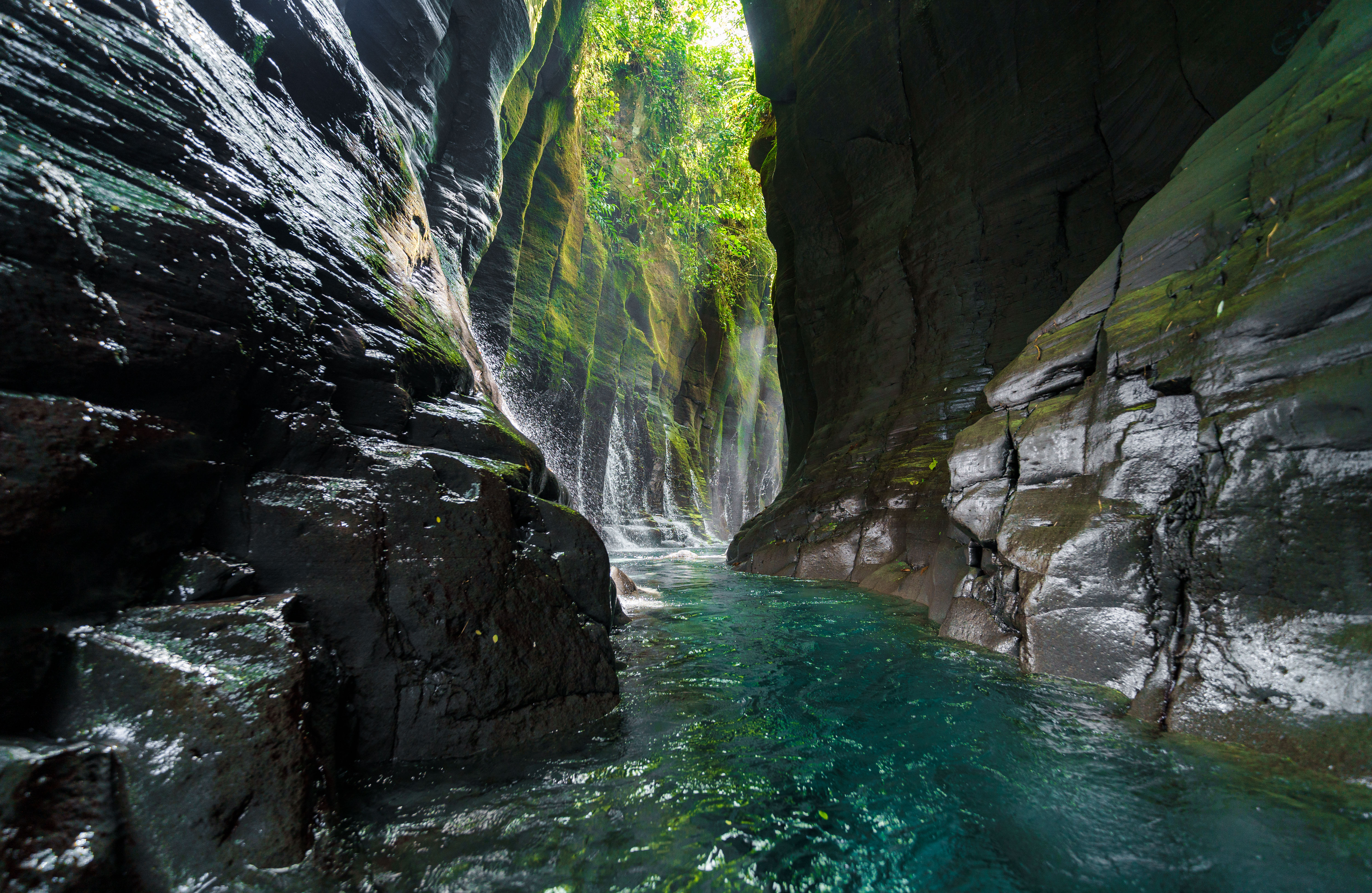 Wander, Explore & Discover